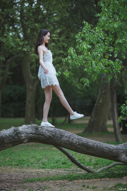 圍標(biāo)串標(biāo)六種常見(jiàn)手法及其法律風(fēng)險(xiǎn)警示